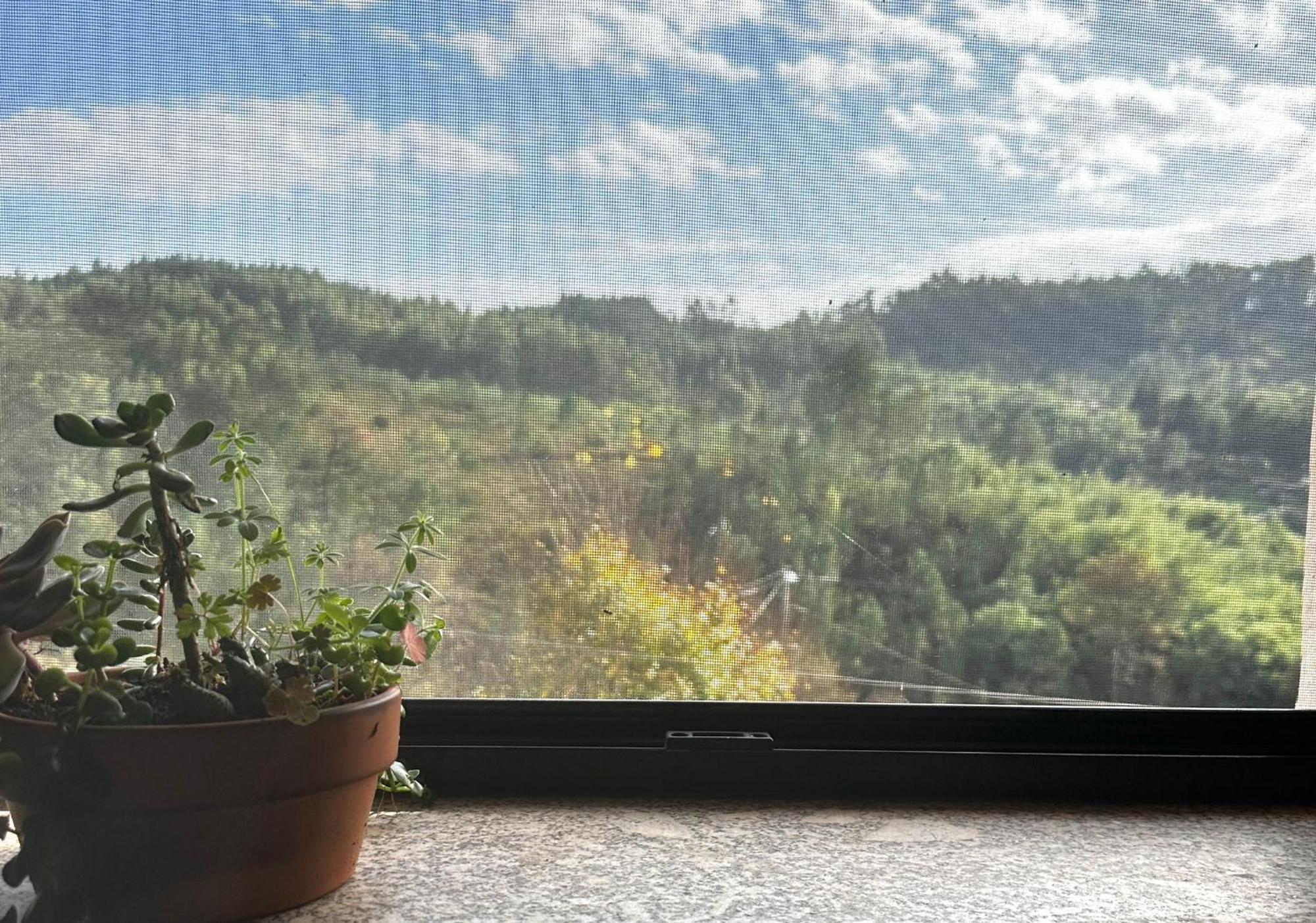 Casa Trilho The Gaios Acomodação com café da manhã Tábua Exterior foto