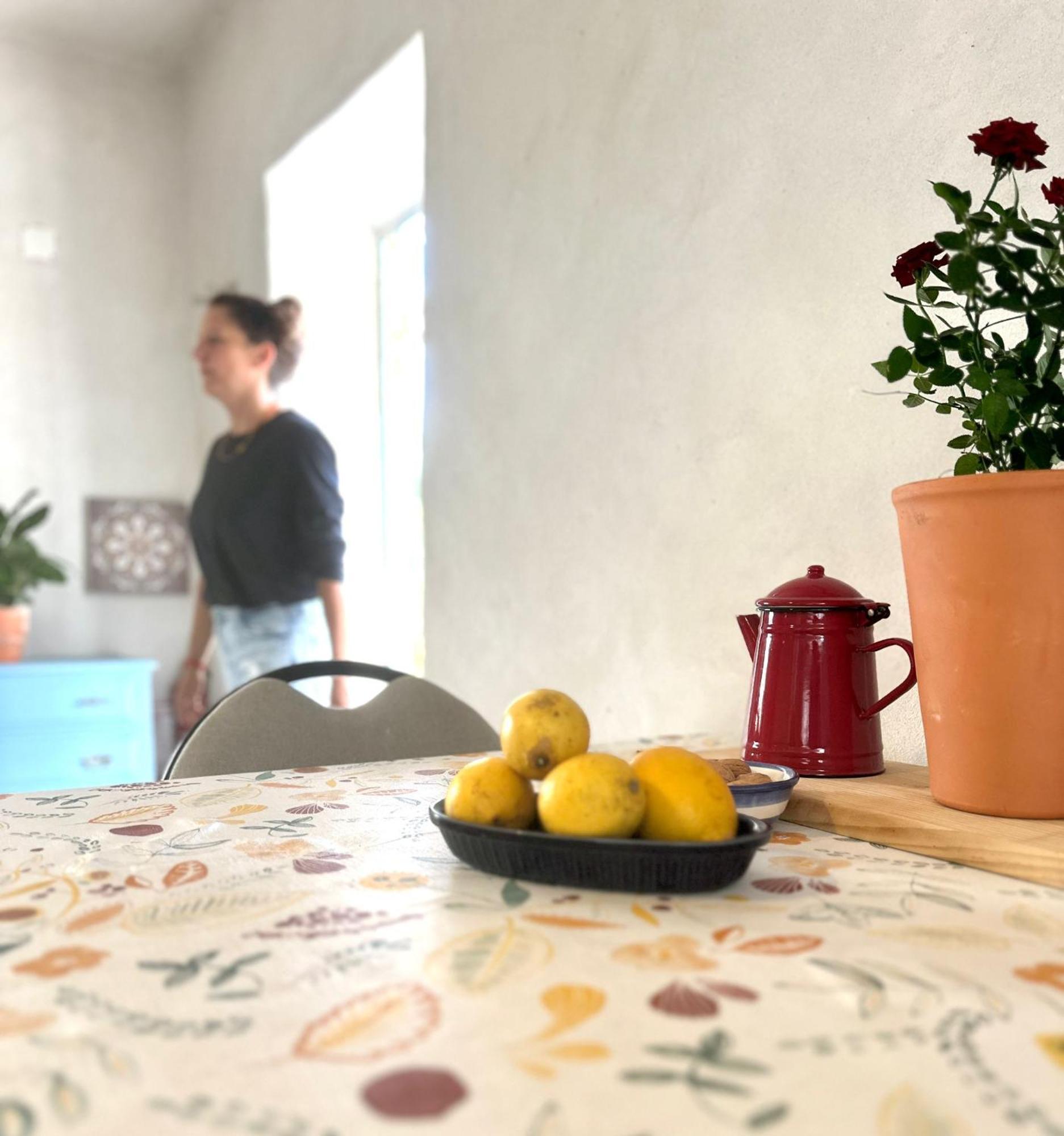 Casa Trilho The Gaios Acomodação com café da manhã Tábua Exterior foto